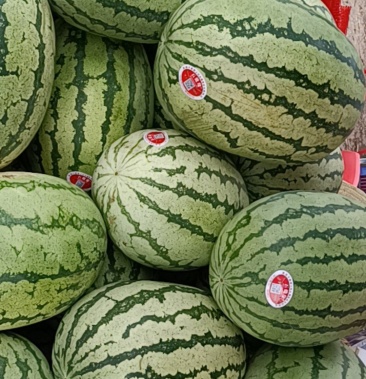 [硒砂瓜批发]宁夏石缝瓜价格1.00元/斤 - 一亩田