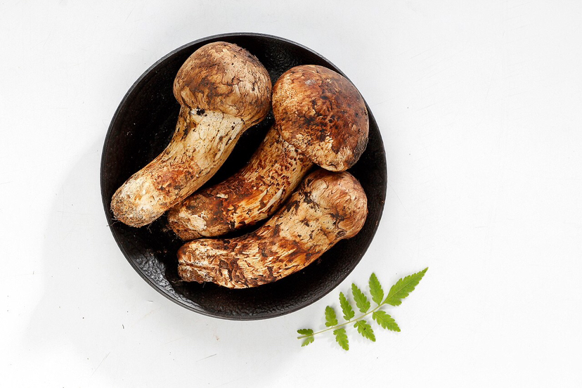 一位年轻人在阳光下享用加入黑芝麻的早餐碗,背景为绿色植物和健康生活用品,展现健康饮食理念 黑芝麻与健康生活方式