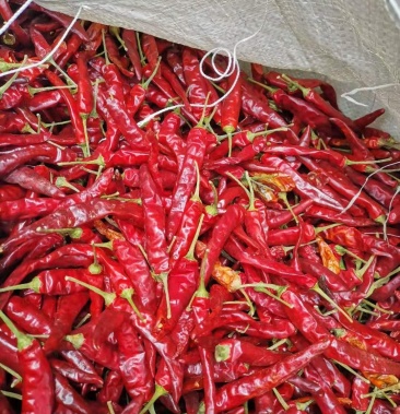 [干辣椒批发]艳椒(石柱红)价格13.00元/斤 - 一亩田