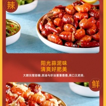 香辣小龙虾虾尾即食熟食潜江特级特大号虾球盒装