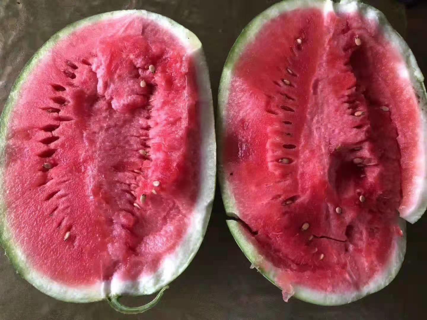 两个完整西瓜被横向切开,左侧为典型红瓤西瓜,果肉鲜红色,籽黑色分布均匀;右侧为黄瓤西瓜,果肉呈明亮金黄色,质地细腻无明显纤维。背景为田园土壤环境,光线自然柔和 红瓤与黄瓤西瓜切面对比图