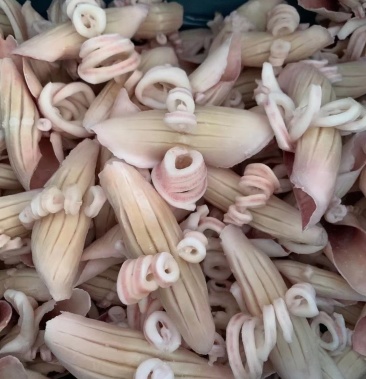 鱿鱼牛角花,可根据要求定做