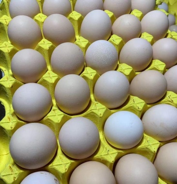 罗曼粉壳鸡蛋当天下当天收货