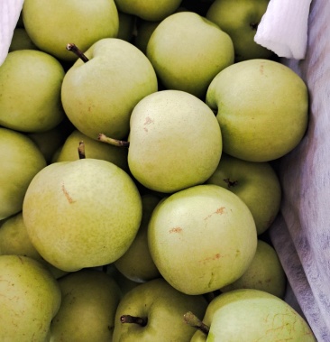 【新绿宝石梨】二级绿宝石梨 货源充足