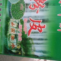 纯绿豆粉粉皮