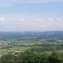 阴宅地乾山巽向，廉贞来龙结的大地，左边艮峰，右边坤峰起。