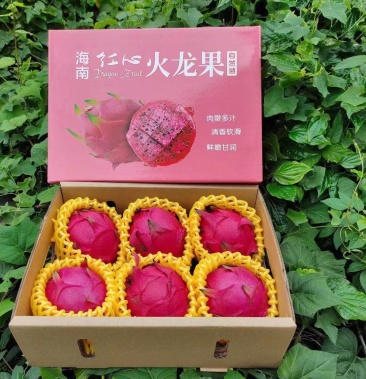 海南红心火龙果5斤礼盒装 一件代发 落地配 顺丰快递