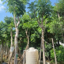 15分骨架3叉起还有各种规格保证质量严守把关货到出现