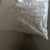 玫瑰茄种子，洛神花种子