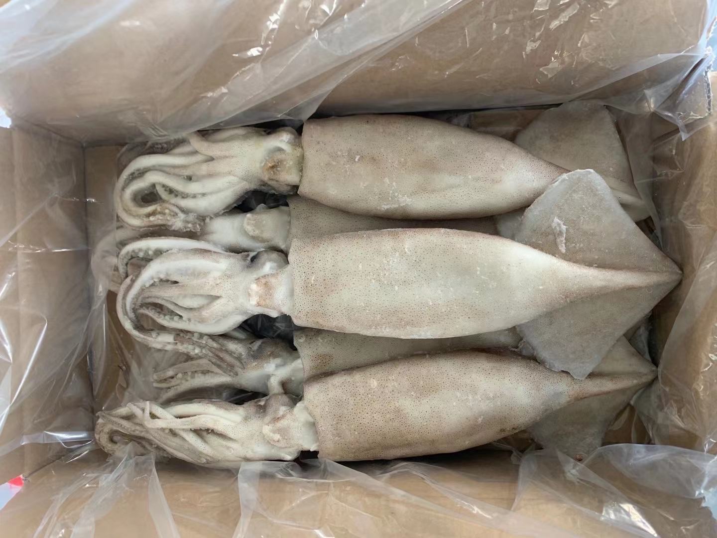 豆浆与鱿鱼摆盘图