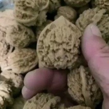 文玩核桃官帽四座楼狮子头麒麟纹王勇官帽批发麻核桃基地