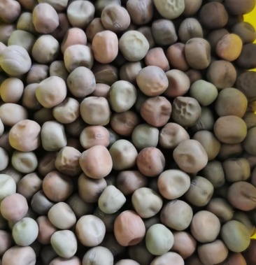[干豌豆批发]豌豆价格1.60元/斤 - 一亩田