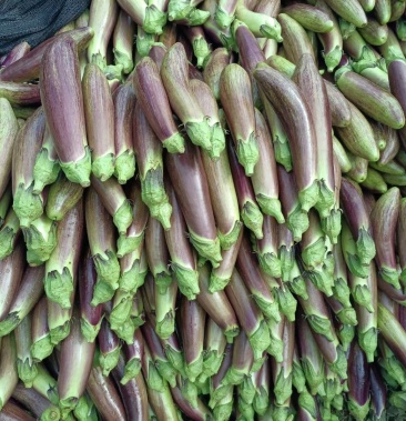 [茄子批发]冰川茄子/高山糯茄/面包茄/茄子价格3.00元/斤 - 一亩田