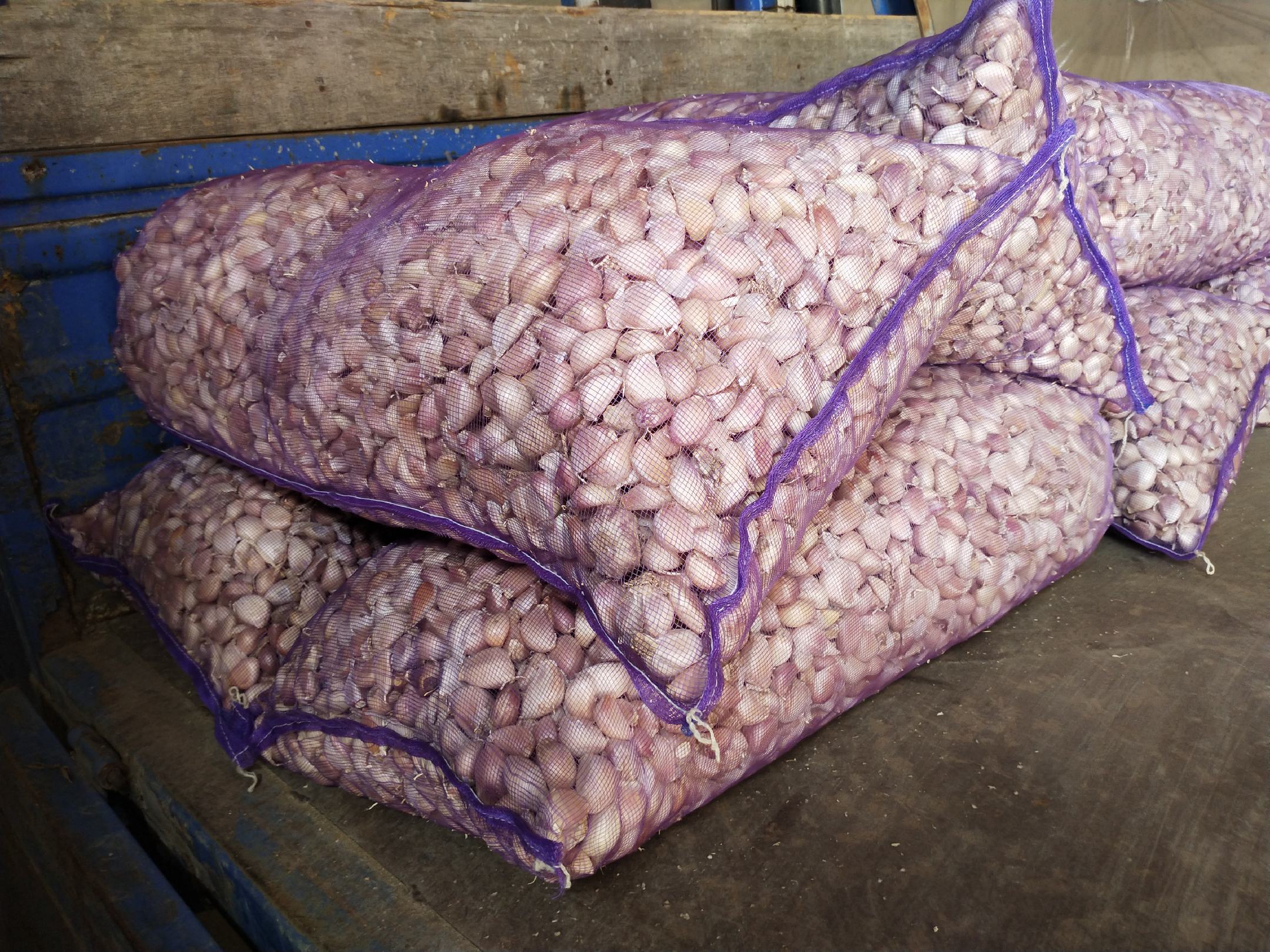 米桶放蒜防虫示意图