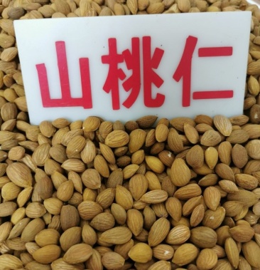桃仁中药材精选去壳带皮桃仁药用山桃仁 熟生桃仁可磨桃仁粉