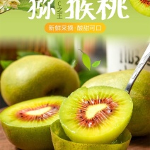四川绵阳红心猕猴桃，专业代办带收，有需要的老板可以联系
