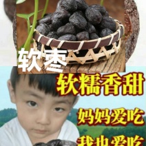 黑枣黑软枣干吃黑软枣休闲零食黑软枣真空包装包邮