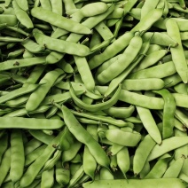 油豆角