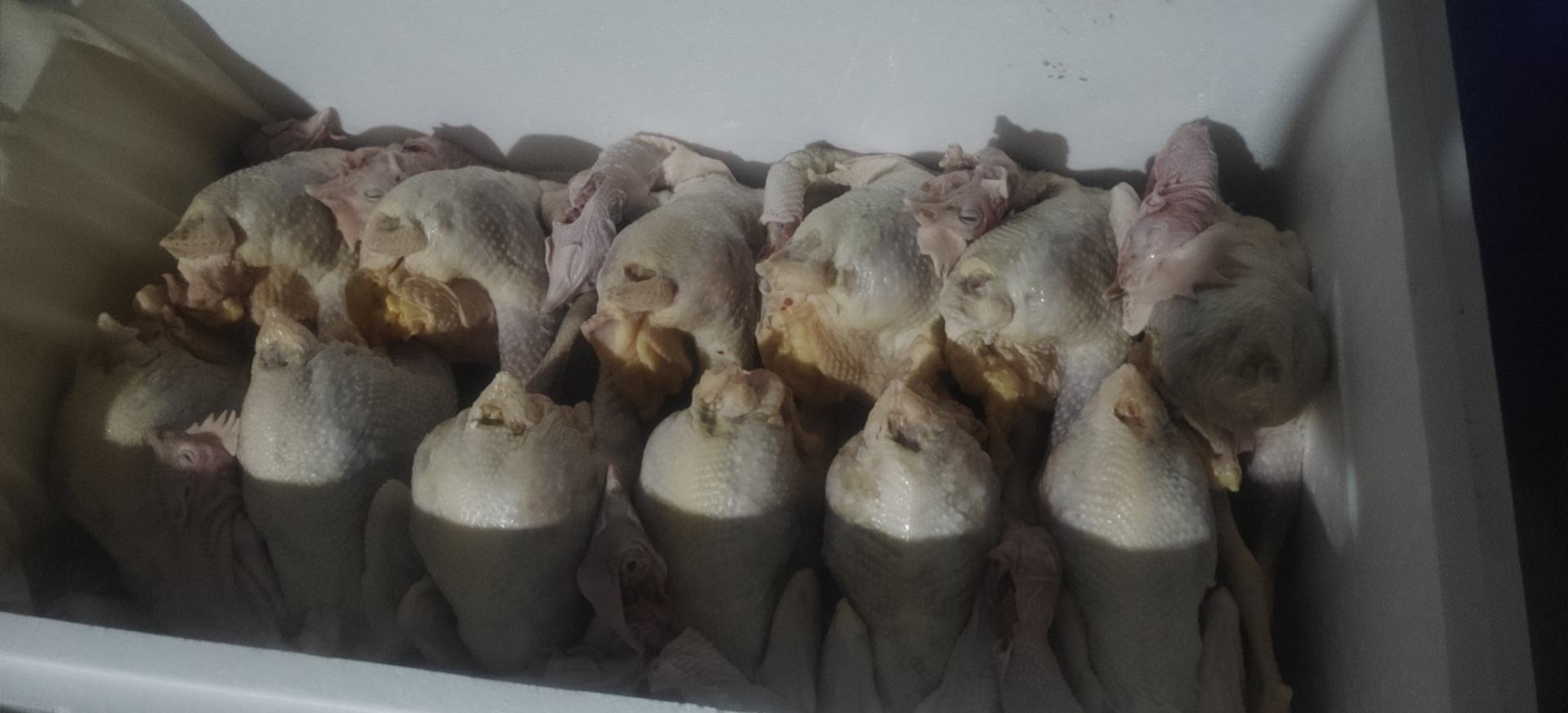 锅中鸡骨架正在焯水,水面泛起白色泡沫,旁边放置着切好的姜片和料酒瓶 鸡骨架焯水过程