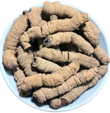 [巴戟天批发]巴戟肉 中药材巴戟肉 巴戟天 野生肉肥厚 泡酒巴戟肉价格