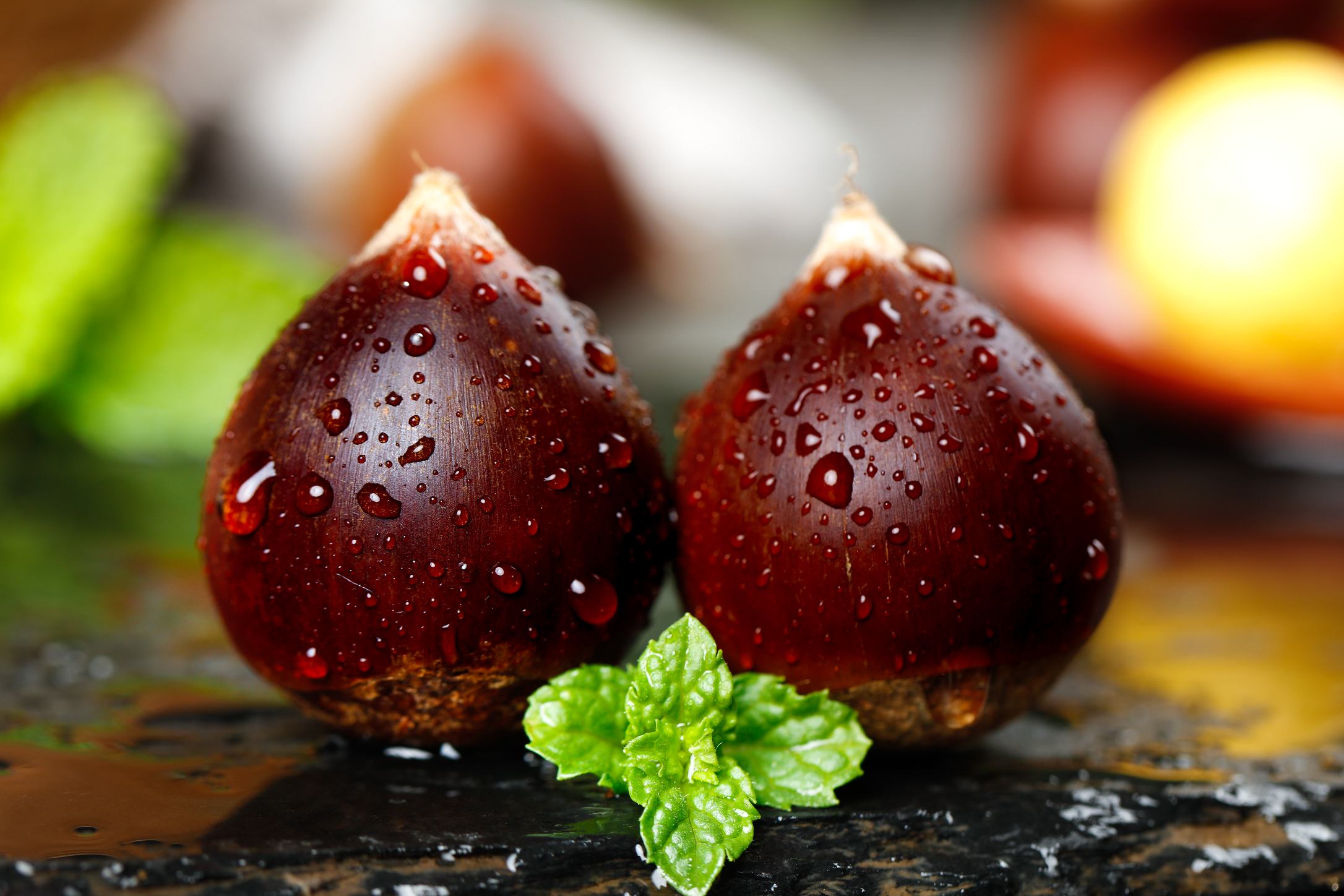 小锥栗新鲜采摘特写