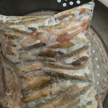 淡水鱼白鱼鲫鱼鲤鱼草鱼鲢鱼马口鱼桃花鱼高山冷水鱼