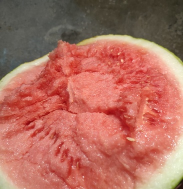 [无籽西瓜批发]黑皮无籽西瓜价格0.60元/斤 - 一亩田