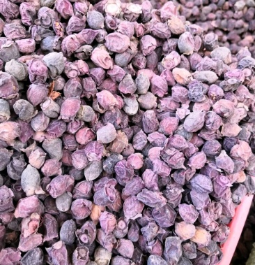 桃金娘捻子干果山捻子干