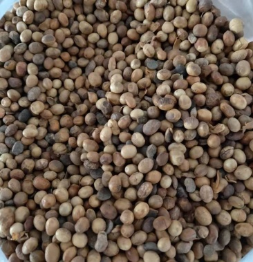 [大豆批发]受损大豆价格3500.00元/吨 - 一亩田