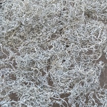 藤茶