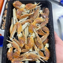 蟹钳…麻辣蟹脚。商超。社区团购。档口。电商平台。