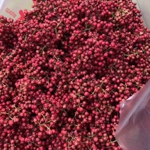 四川大红花炮花椒很浓很香的花椒有几十万斤保证质量放全心要