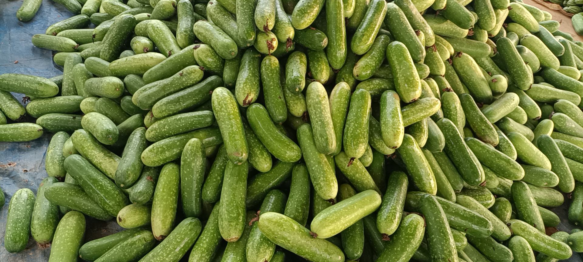 苦瓜、洋葱、绿豆三者搭配的食材展示