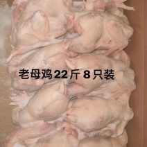 老母鸡，白条鸭，开背鸭。
