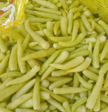 白泡椒,野山椒,大量供应,有腌制的老板,客户,请联系