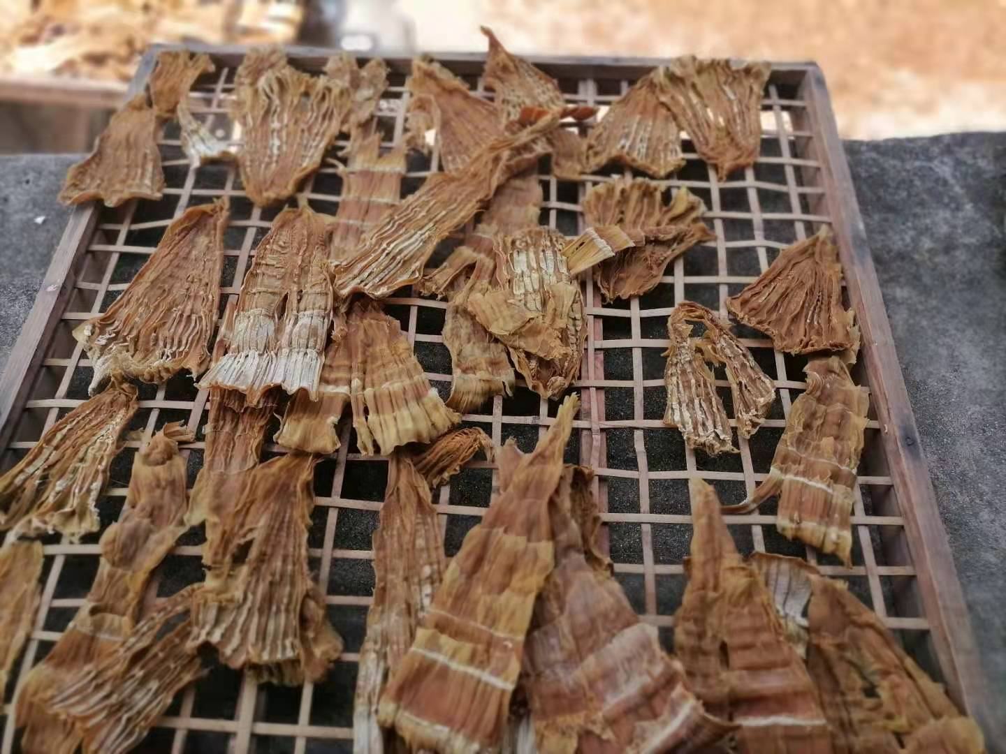 传统竹匾日晒干笋工艺:春日晴空下,新鲜蒸煮后的笋条被均匀铺展于天然竹编晒匾中,呈现自然金黄至琥珀色渐变,表面微起皱褶但结构完整,体现充分脱水与良好透气性,晒场环境洁净、通风、无尘 竹匾晾晒场景:数十个圆形竹编晒匾整齐排列于青砖晒场上,每匾铺满金黄色半透明笋条,阳光下泛着温润光泽;背景可见灰瓦农舍与远处青翠竹山,天空湛蓝无云,地面干燥洁净