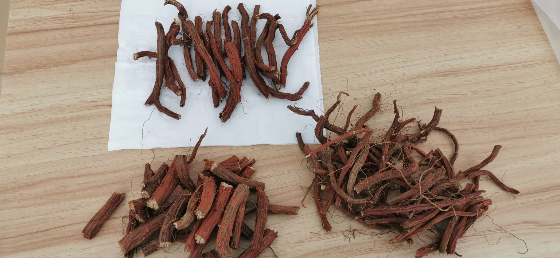 丹参与红参的植物形态对比