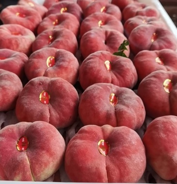 [蟠桃批发]顺平精品大蟠桃价格4.20元/斤 - 一亩田