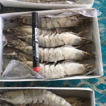 港口直发黑虎虾，东风虾，大虾，全国代发货