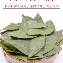 精选特色香叶，干度好无硫杂质少干枝少，卤肉炖肉火锅必备。