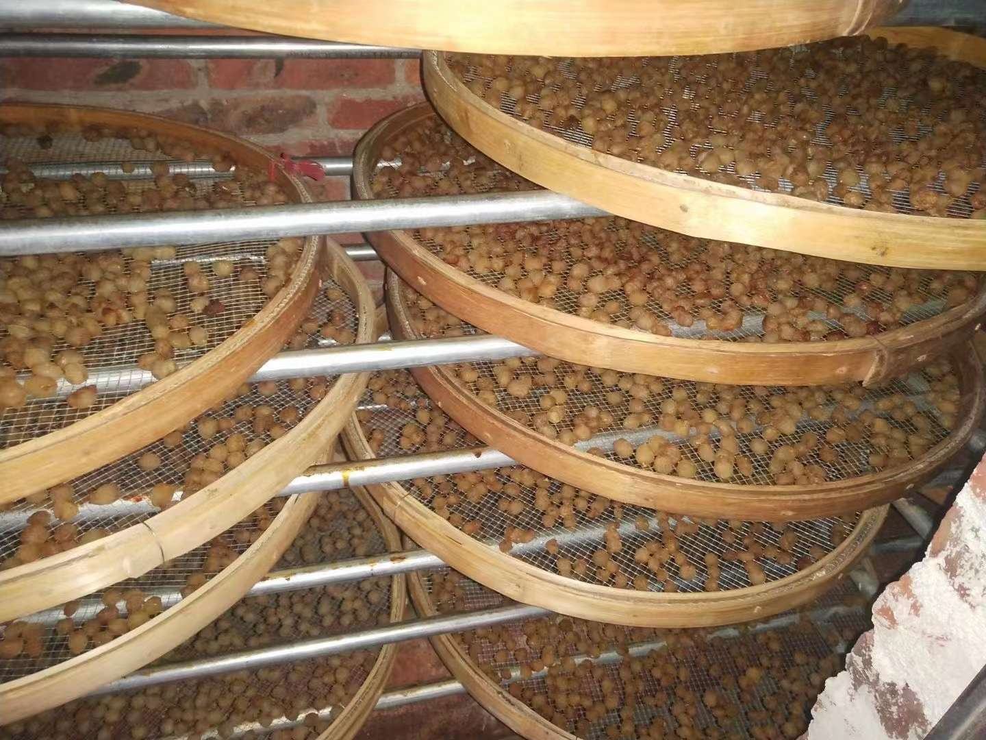 展示龙眼肉在晾晒架上晒制的过程,阳光充足,摆放整齐,有助于均匀干燥 龙眼晒制过程图