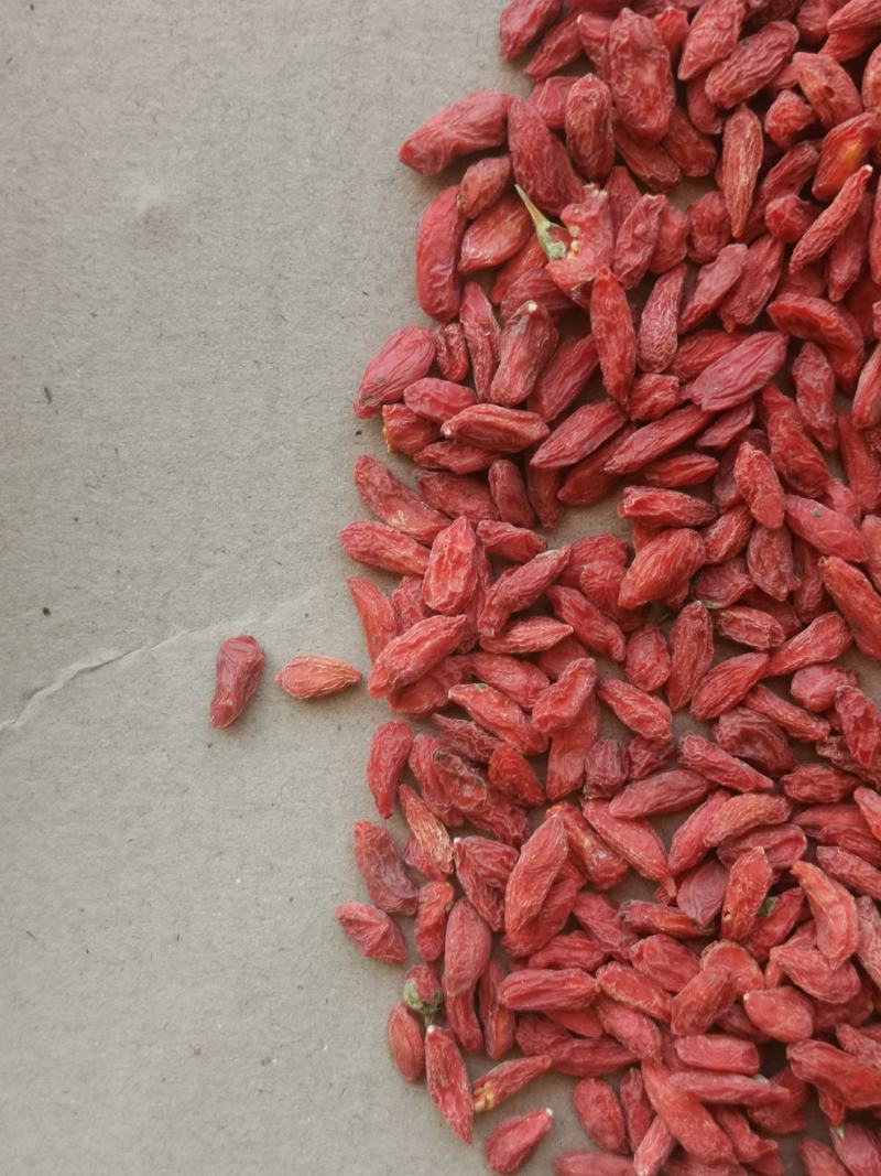 400粒青海柴达木诺木洪红枸杞50克400粒非宁夏枸杞