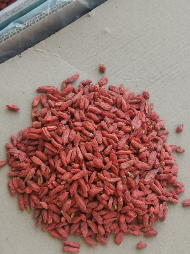 400粒青海柴达木诺木洪红枸杞50克400粒非宁夏枸杞