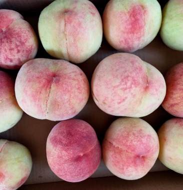 85桃,久保桃,自然熟,红绿色,挺好吃