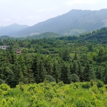 丁财双全小地，申山，朝案秀丽