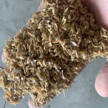 水稻稻壳稻谷稻壳稻谷壳大量出售