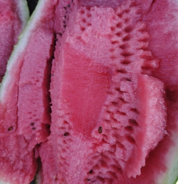 精品石头瓜,皮薄,糖分十三个以上,十斤起步