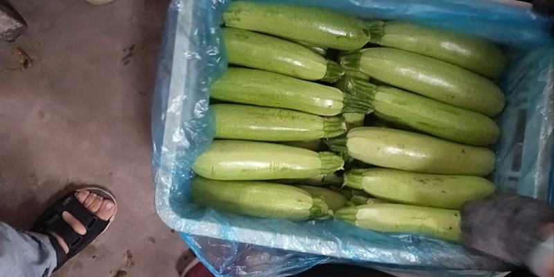香蕉批发价格行情分析