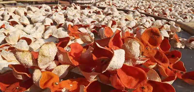 陈皮普洱与山楂原材料展示图