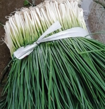 柳州小香葱大量上市